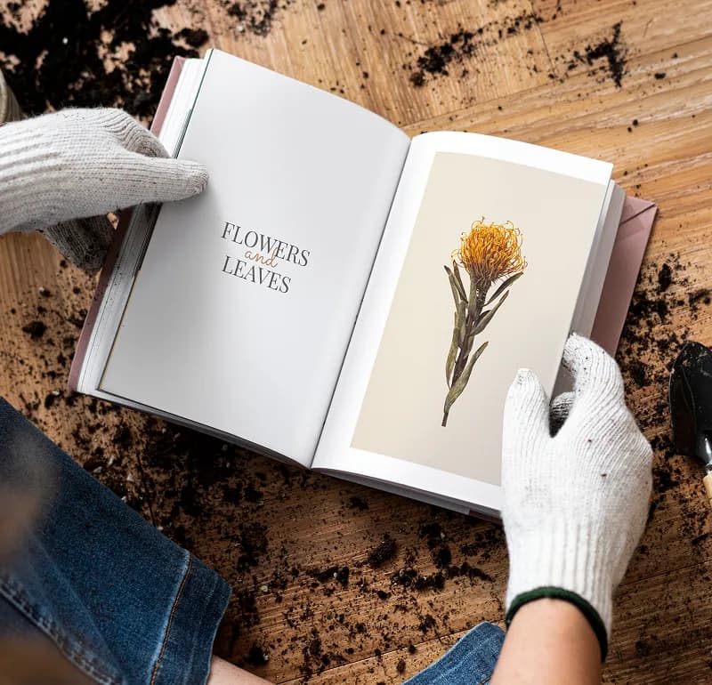 Creative Portfolio Design